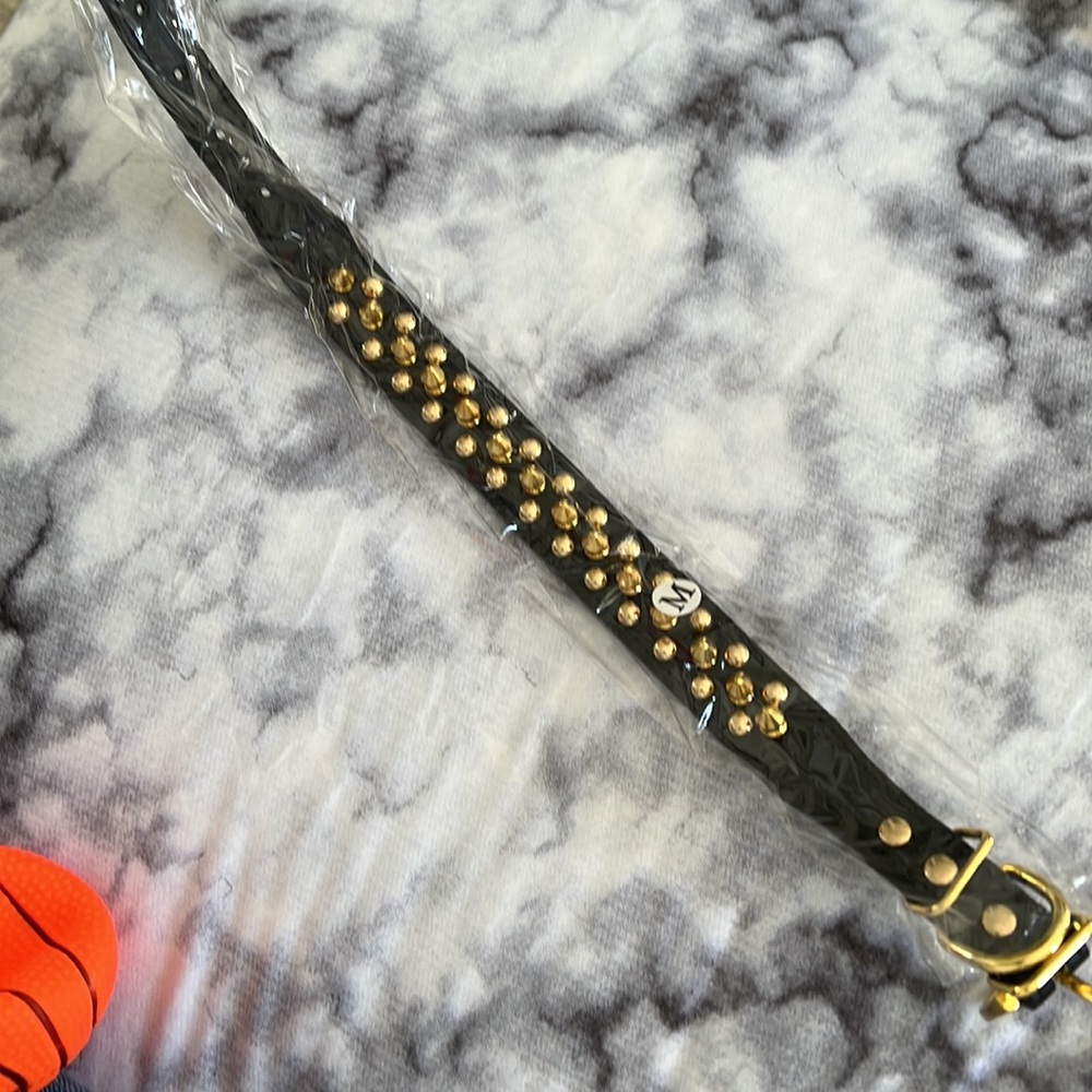 NWOT gold and black spike dog collar